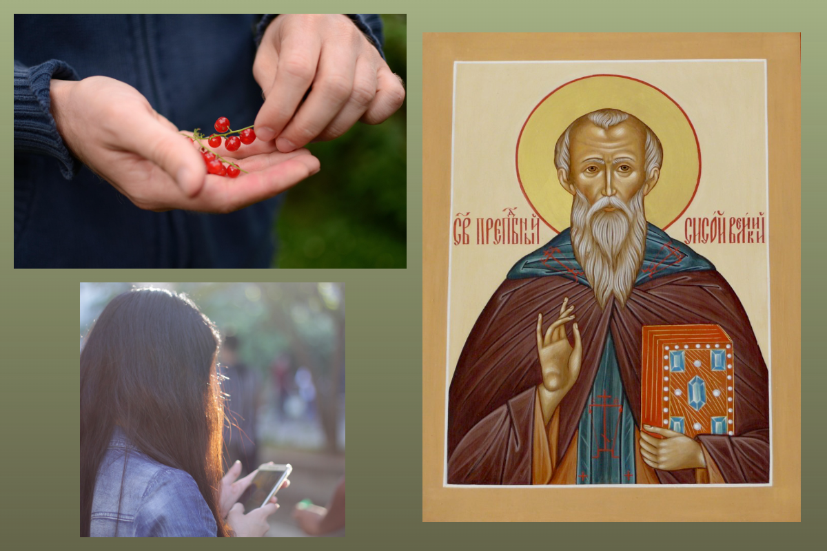 Прп. Сысой Великий/azbuka.ru, pixabay.com