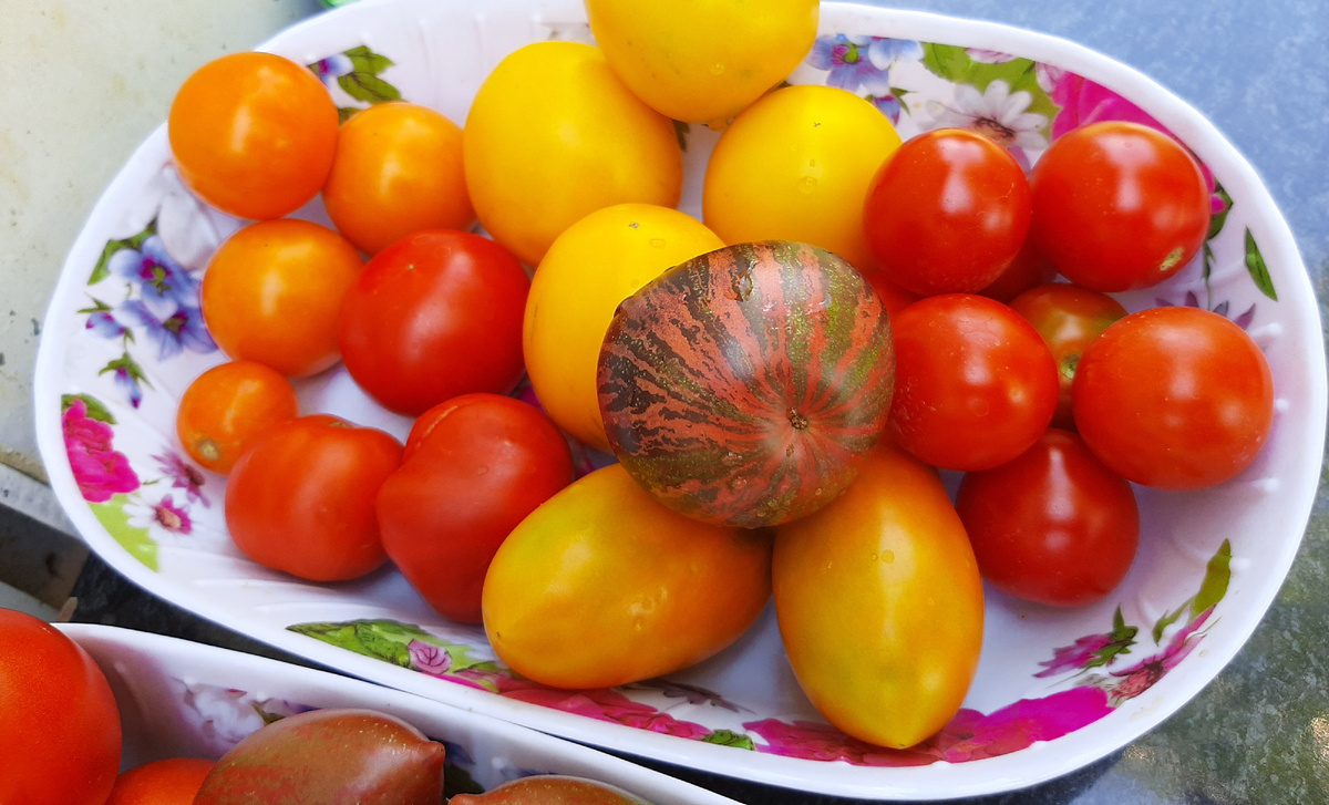 Преддегустационный момент