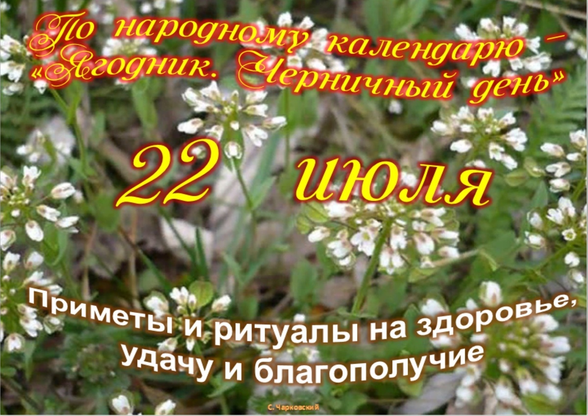 Встречаем новый день