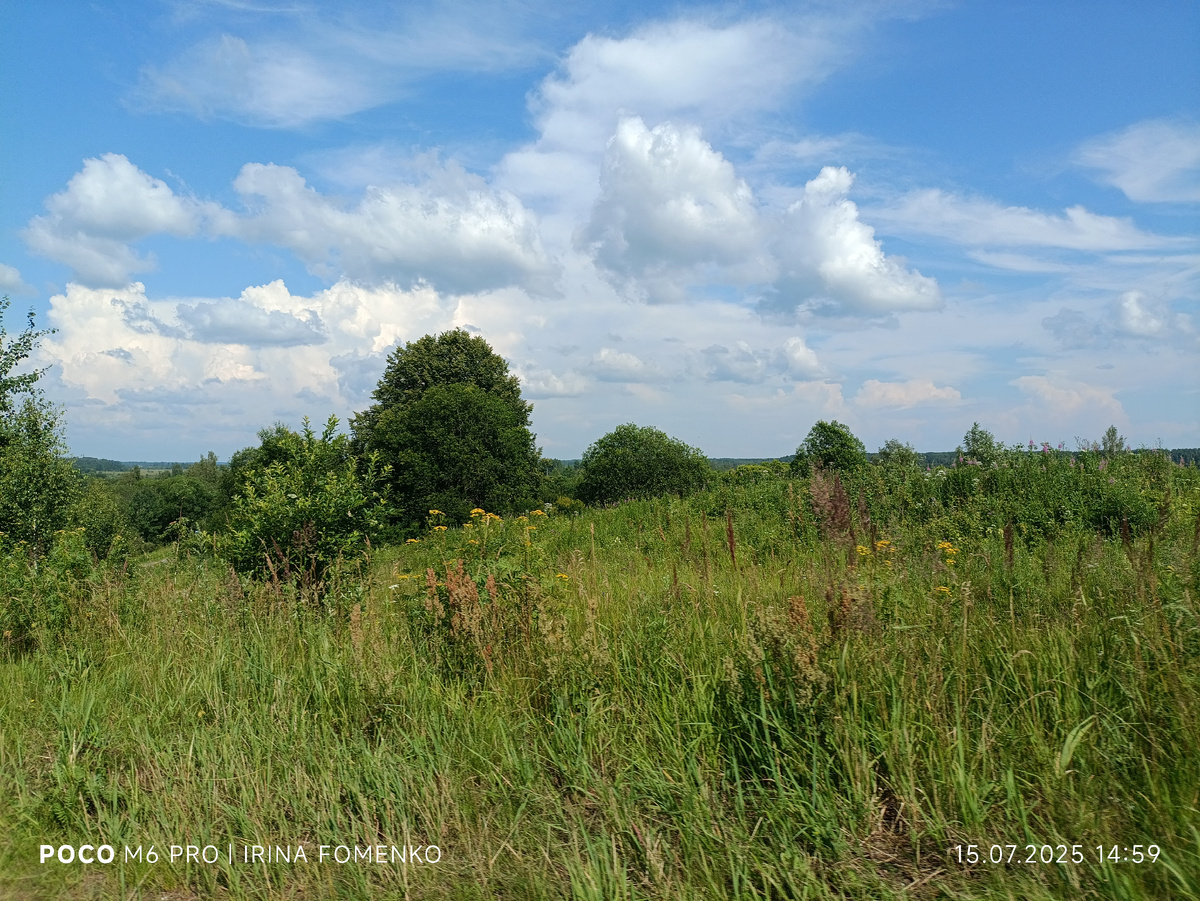 Любунь-гора. Фото автора