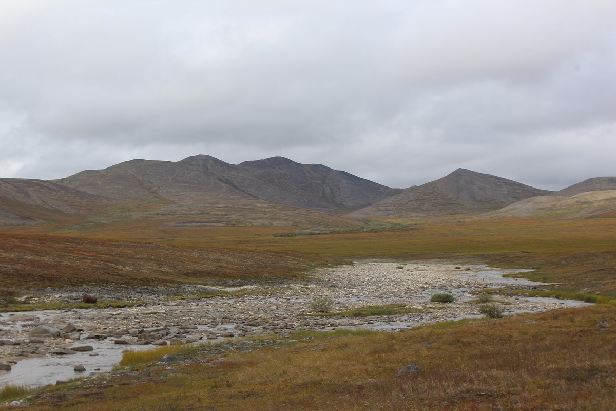 Источник: wikipedia.org Автор: Al chukotka CC BY-SA 4.0