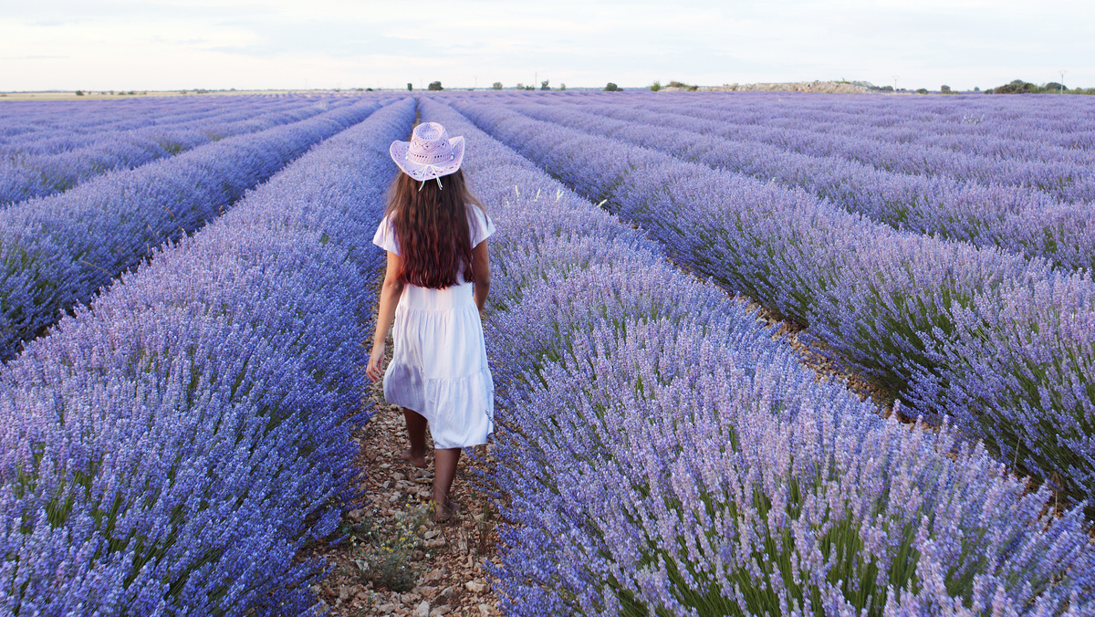 ValentynVolkov/istock