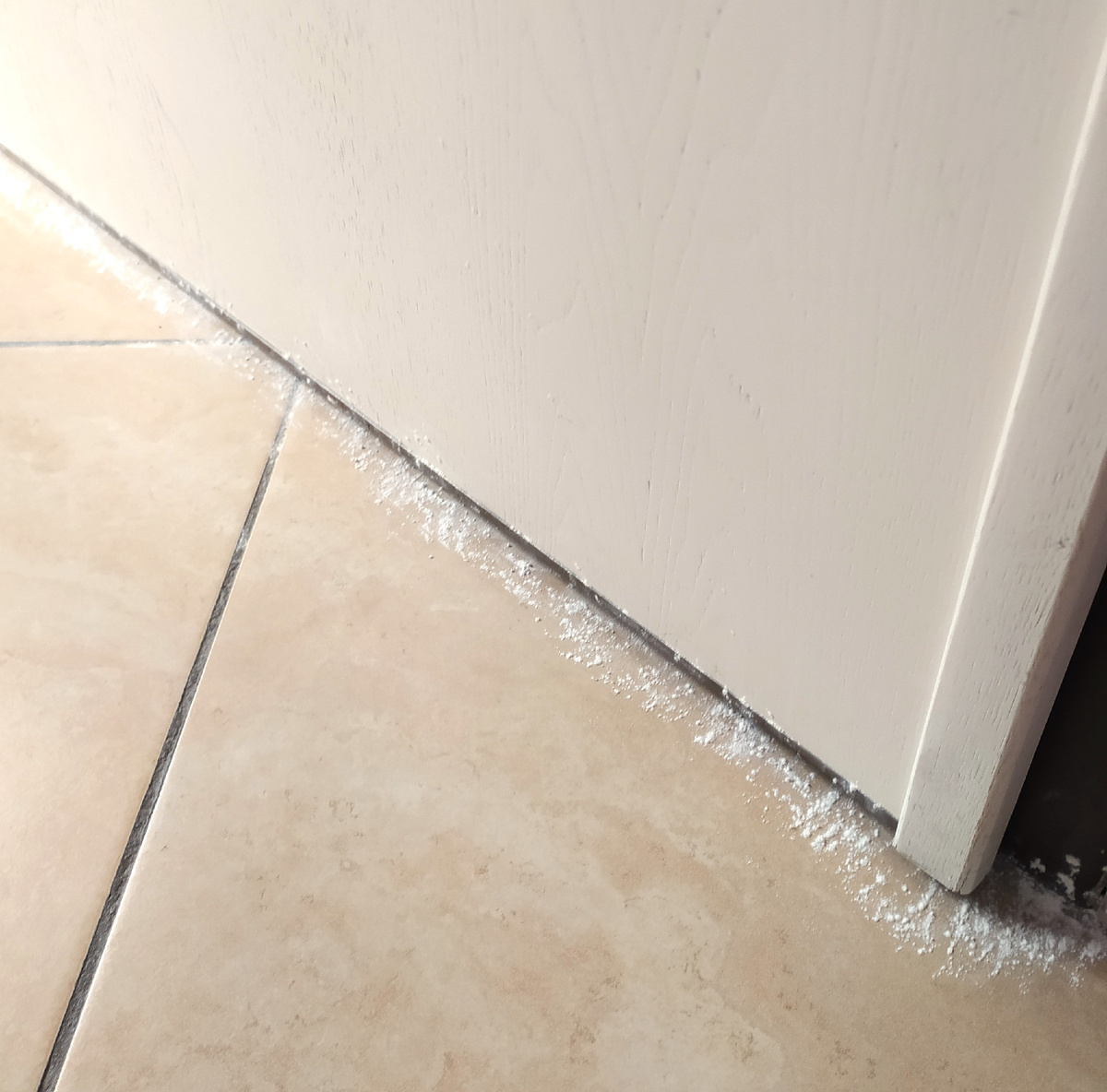 фото автора,