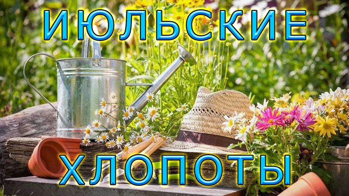 Какими делами заняться в июле на огороде?