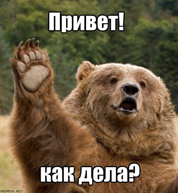 Привет, как дела?