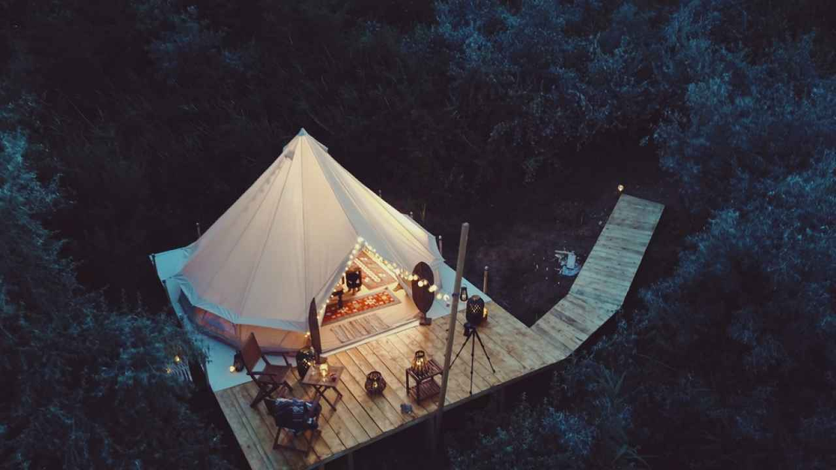 Фото: Moise Sebastian/Shutterstock.com