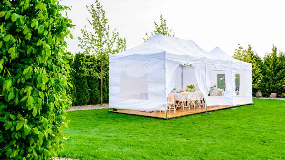 Фото: bubutu/Shutterstock.com