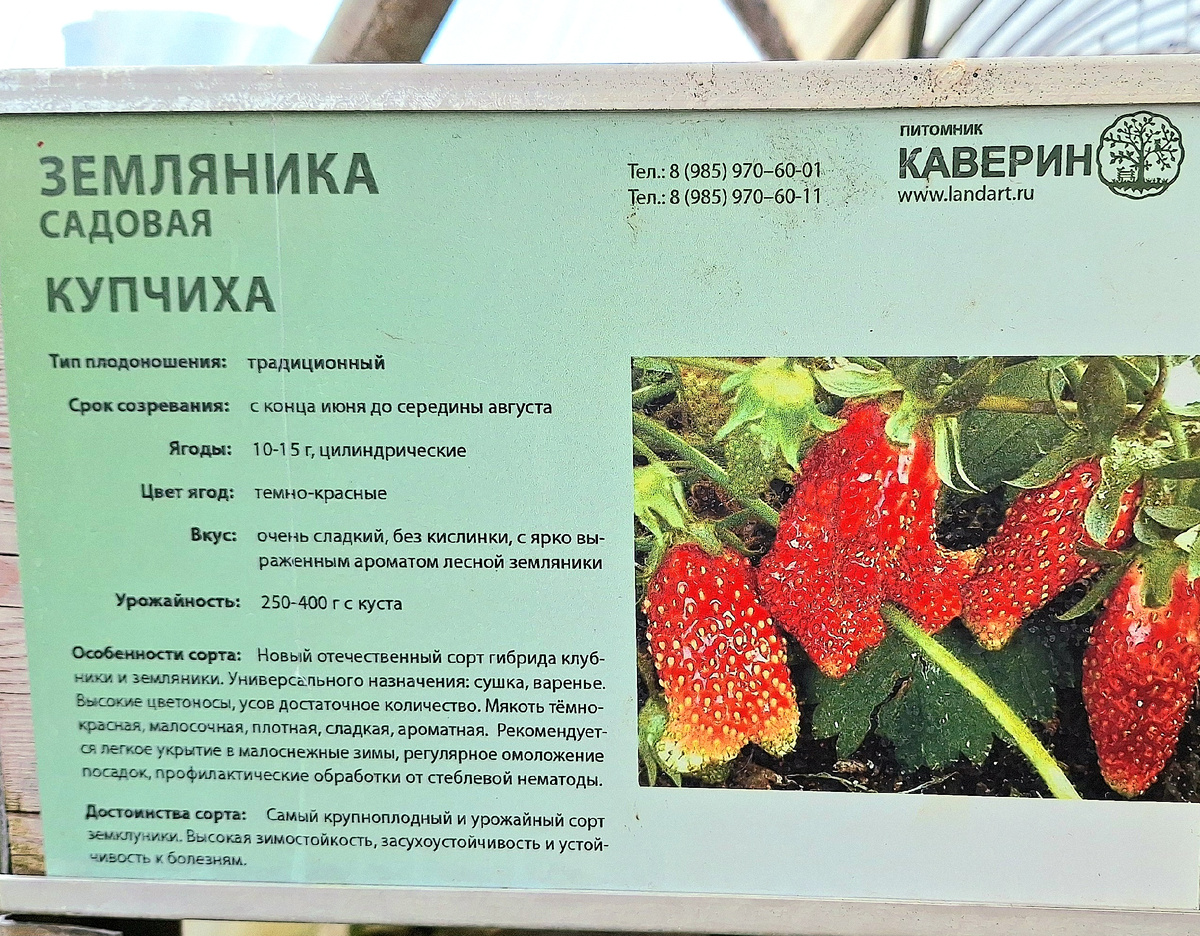 Фото автора. Информационный стенд в питомнике «Каверино»