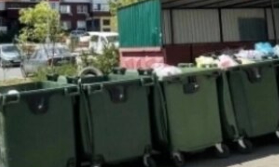 Фото: соцсети