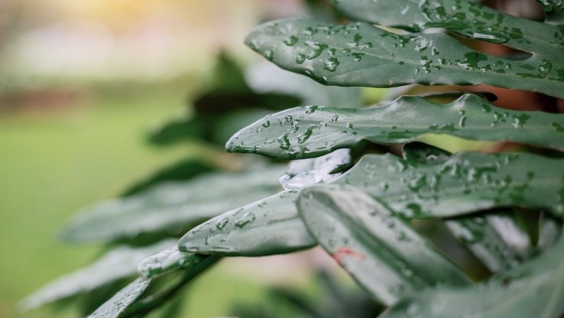      Фото: @start08 / freepik.com