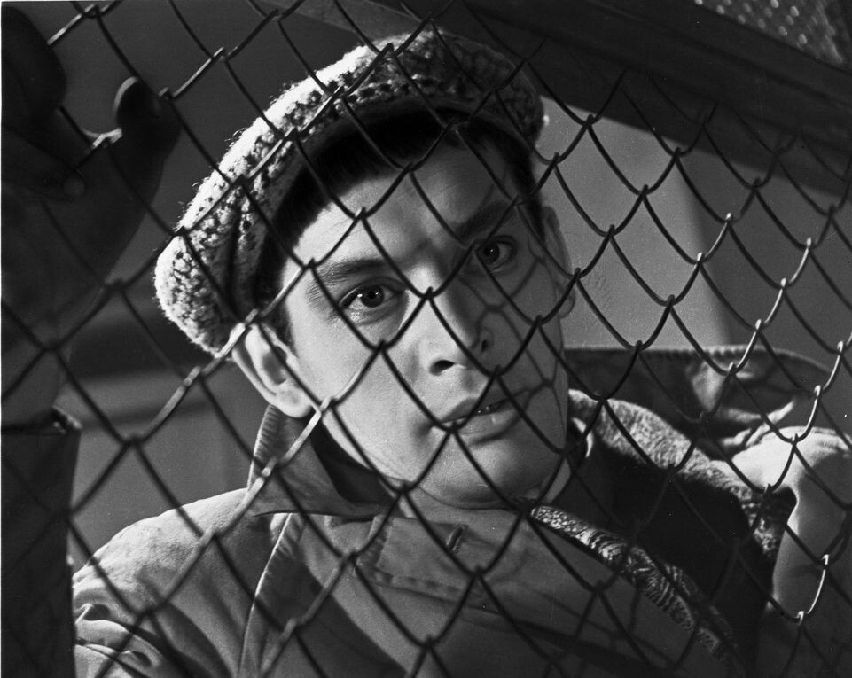    Russian Look / www.globallookpress.com