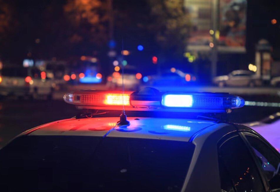    Фото: freepik.com/ daniel-007