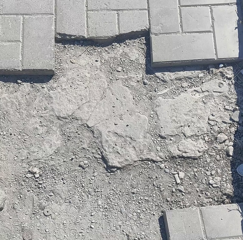    Фото пресс-службы администрации Искитима