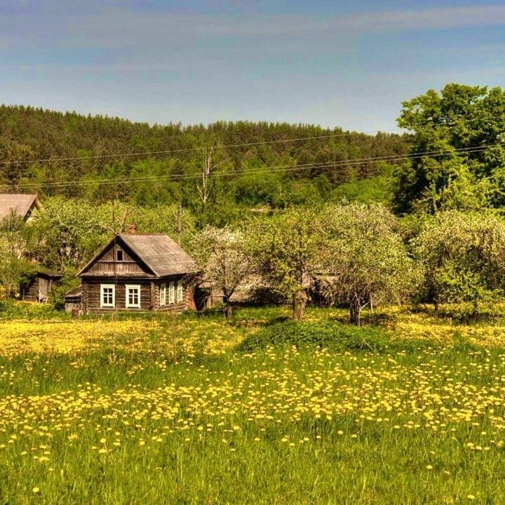 в выходной приехал внук бабушки
