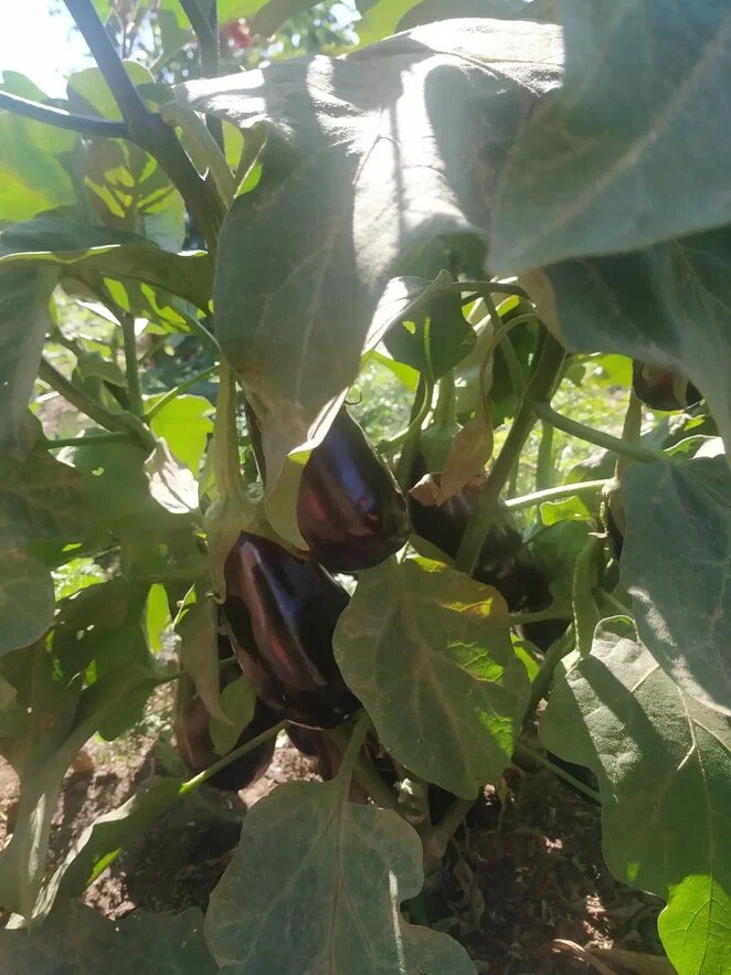 Фото Натальи Мироновой