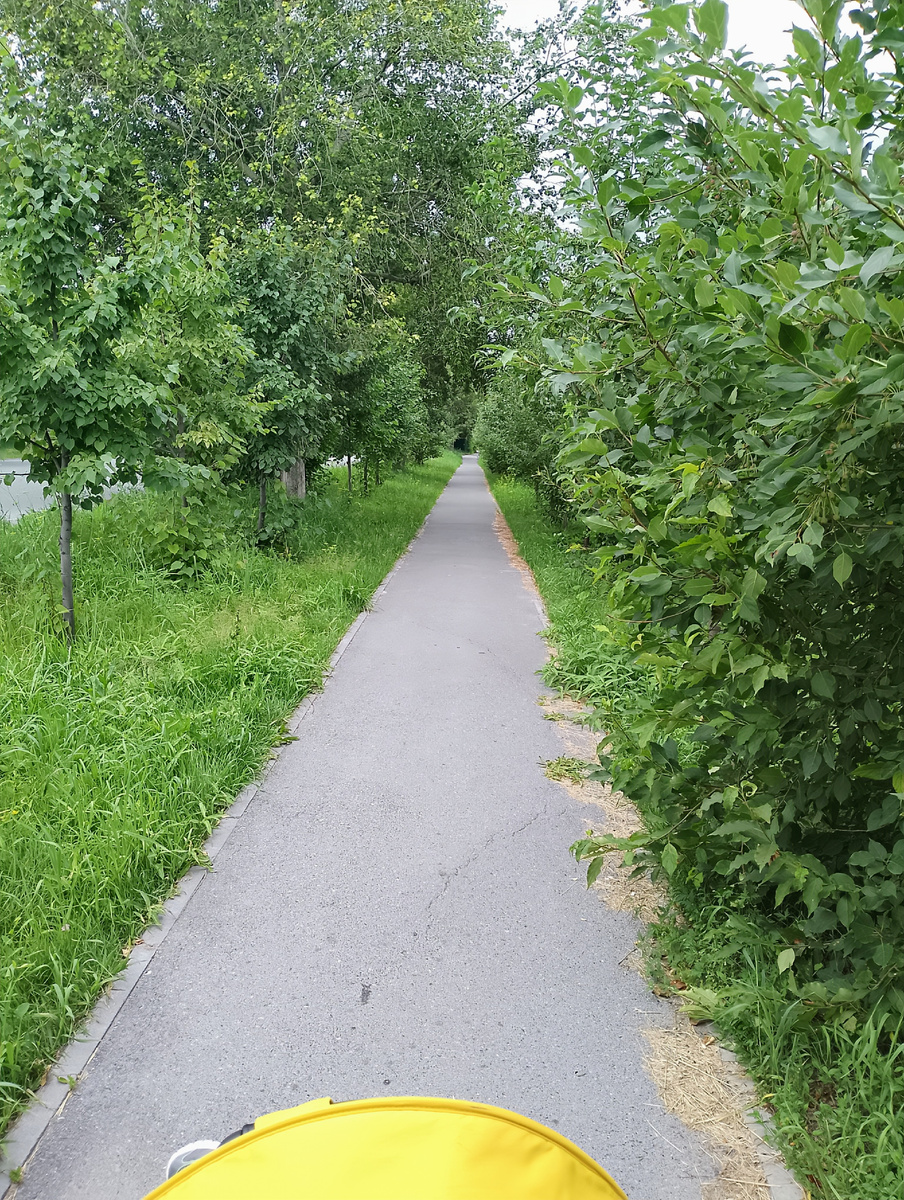 Прогулка в парке 