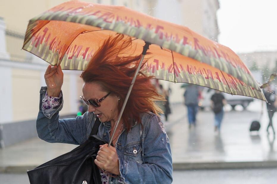    Алексей Белкин/NEWS.ru