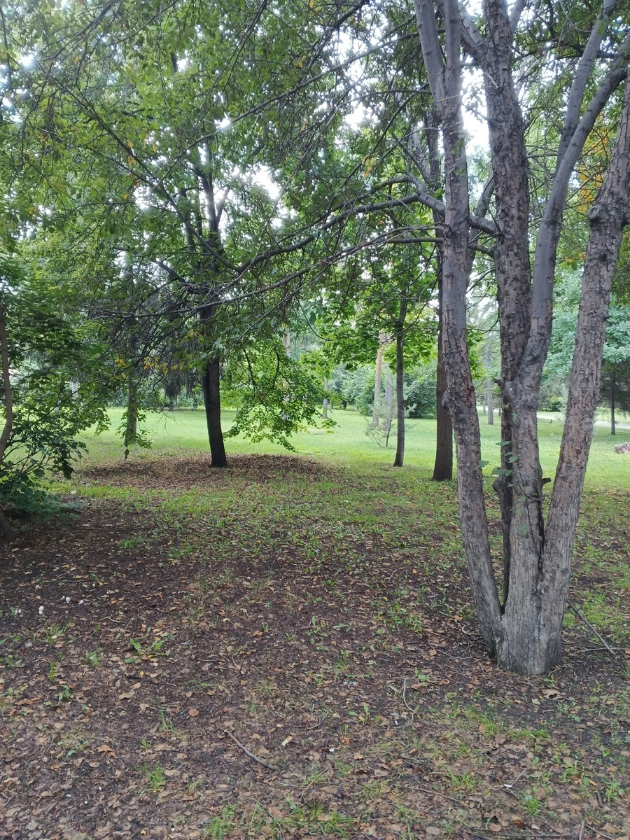 Сквер образца 18.07.2025