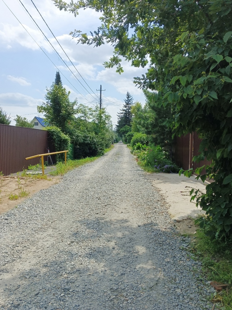 Аллея образца 18.07.2025