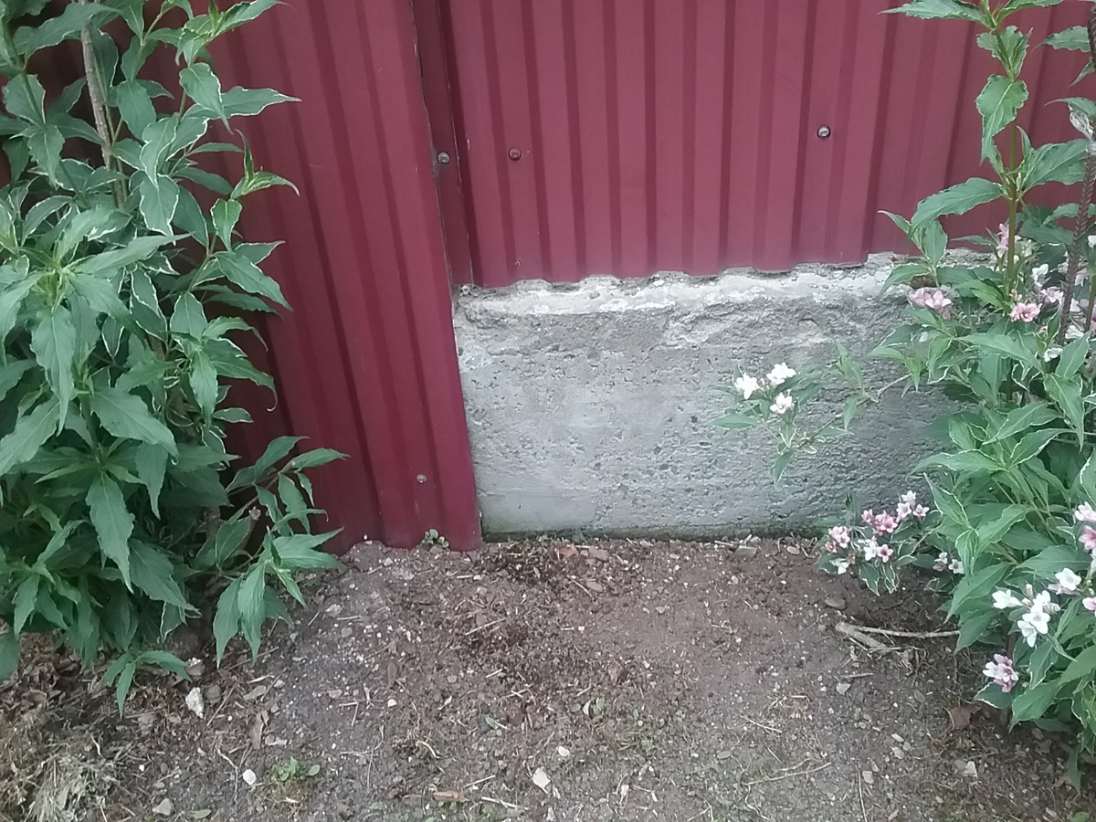 Достаточное расстояние от материнского куста