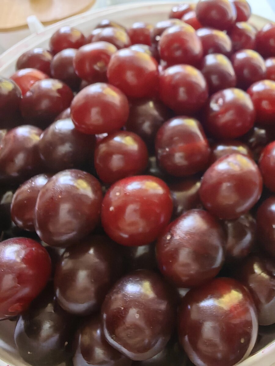 Делаю ее много лет, проверено!  Берем коньяк 5 литров. 10 кг вишни.  Трехлитровых банок шт 4-5. Стакан сахара по желанию. Кладем в чистую, сухую банку созревшую под Переволокским солнышком  вишню, крупную, сочную, не кислую!!! В идеале, очищаем от костей (я лодырь, перестал очищать и кладу с костями). Мну вишню мялкой, которая лезет в банку, накладываем еще до "плечиков", кто любит послаще сыпет сахар один стакан. Заливаем коньяком, (но сначала пробуем его, желательно закусывая сыром и лимоном), закрываем крышкой трясем и ставим на солнышко на  две недели, ежедневно потрясывая банку. Затем убираем в темное место на месяц и желательно забываем! Употреблять в хорошей компании или одному, когда становится грустно.