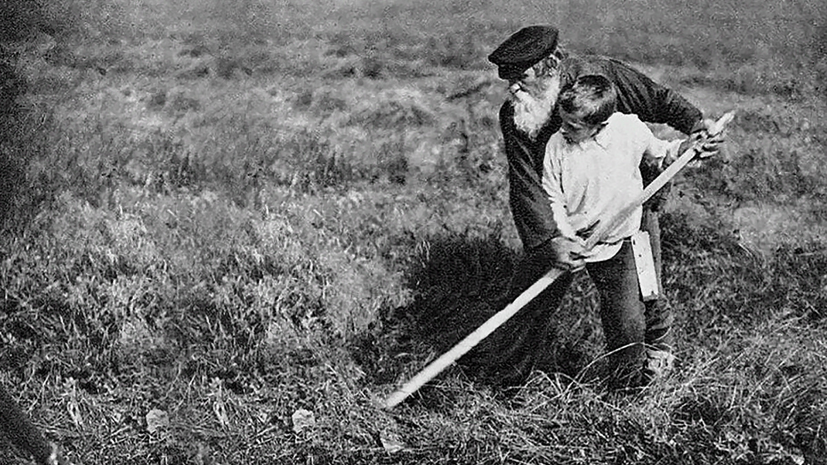 Мальчишка с дедушкой косят поле. Источник Яндекс картинки