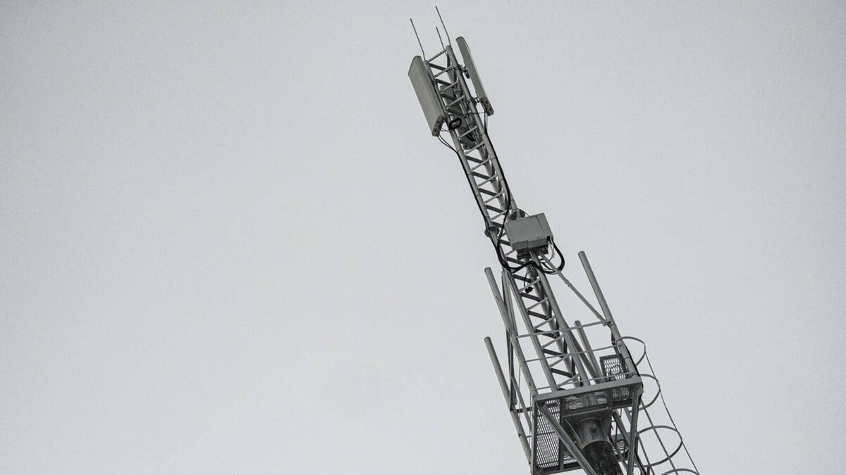 Фото: пресс-служба Минцифры РТ