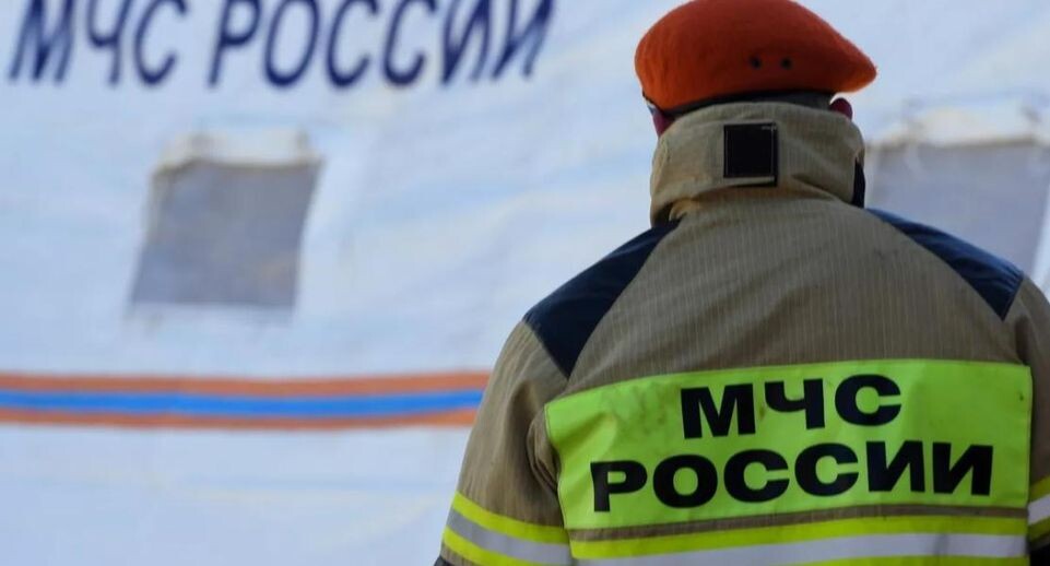    РИА «Новости»