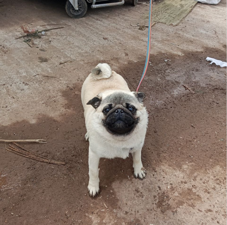     Пермский региональный оператор ТКО