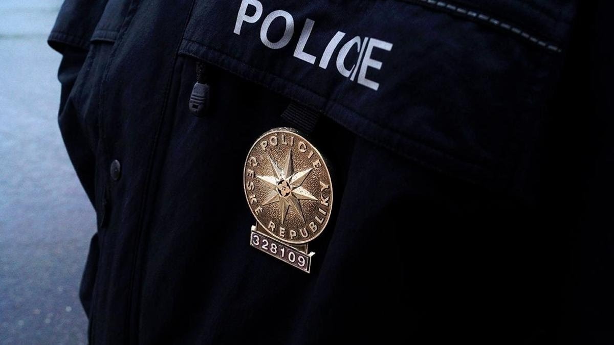 Фото: Viacheslav Life Studio / Shutterstock