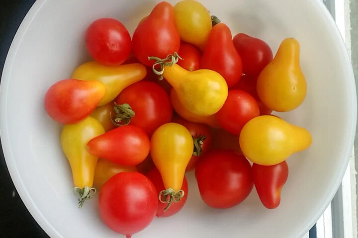 Миска с жёлтыми грушами и помидорами черри