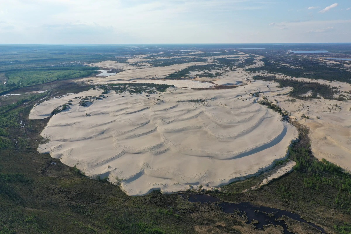 Тикуланы в Якутии