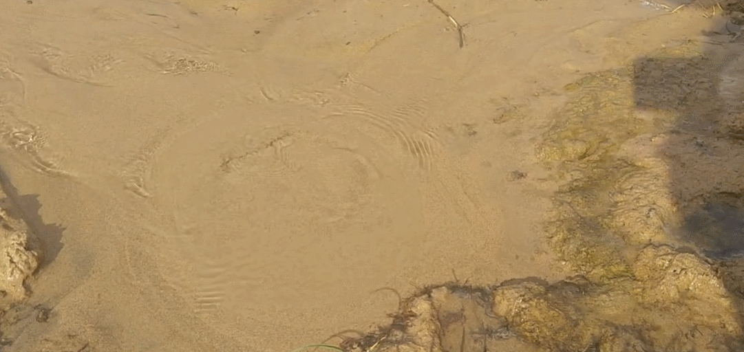 Источник: https://youtu.be/uWx5EUO4uSM 