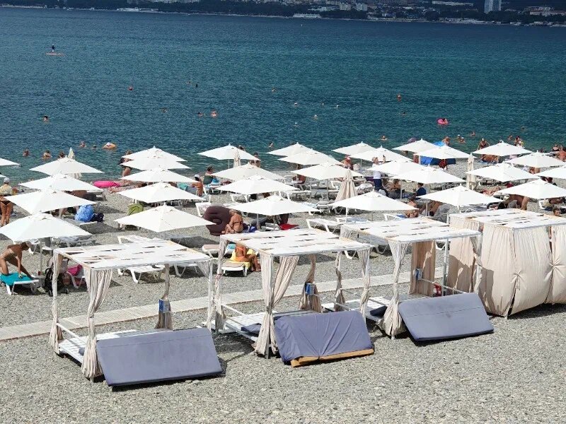    Фото: Юрий Серебренников/BFM Кубань