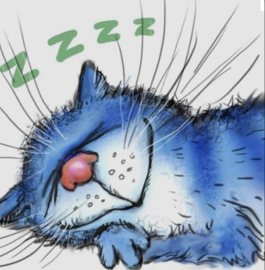 Стихи не должны мешать котикам спать!