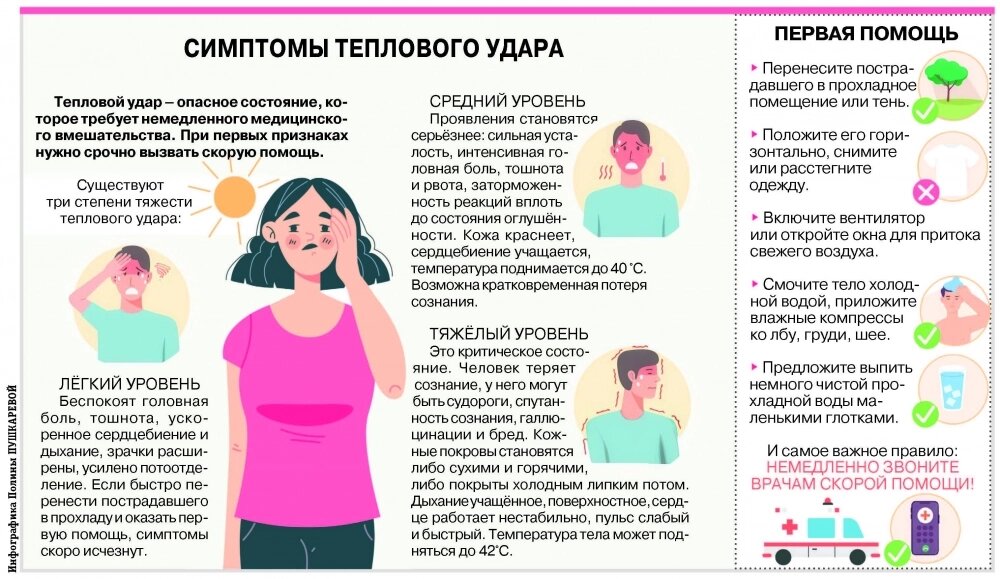    Инфографика Полины Пушкаревой