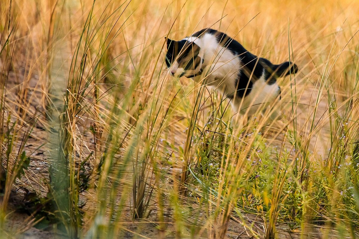    Darragh Furey / Unsplash