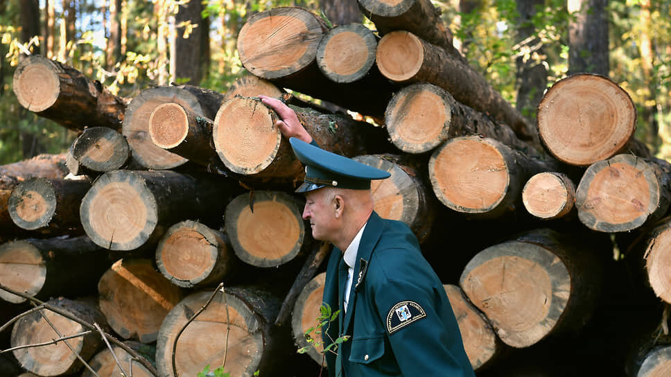 Фото: Влад Некрасов / Коммерсантъ