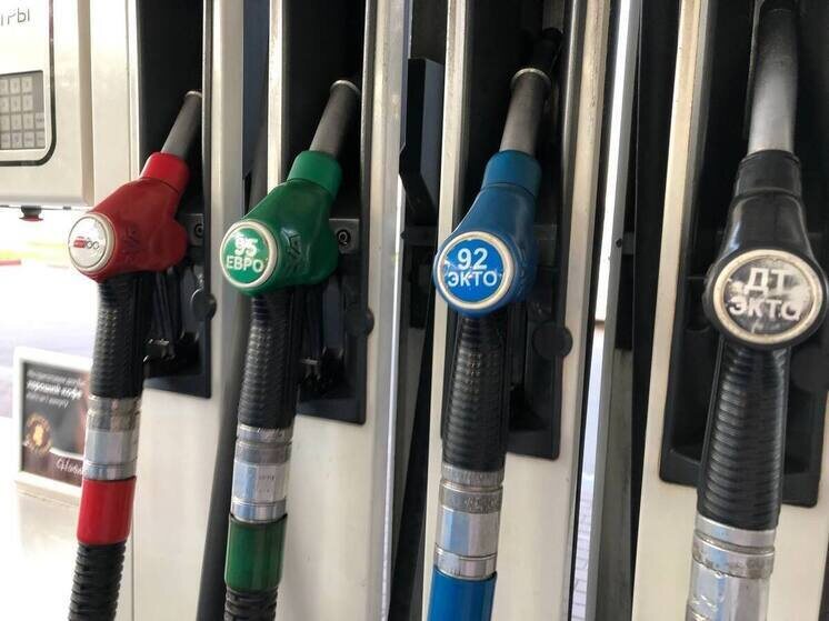     Фото: Архив МК в Питере.