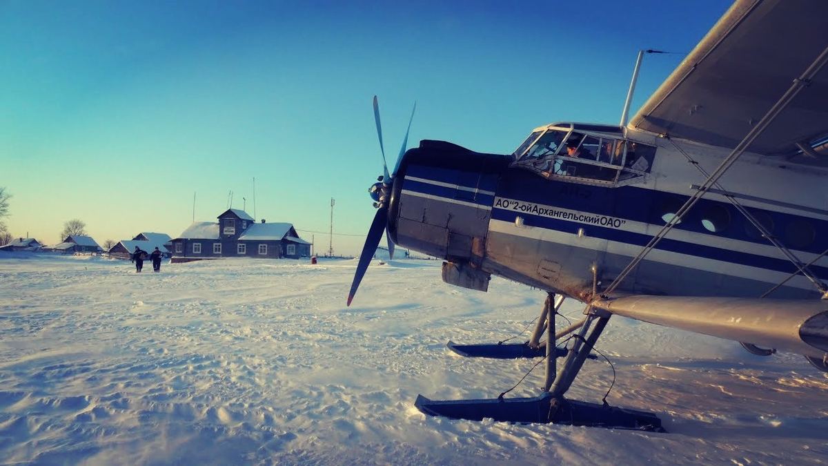 Фото из Яндекса. Спасибо автору. 