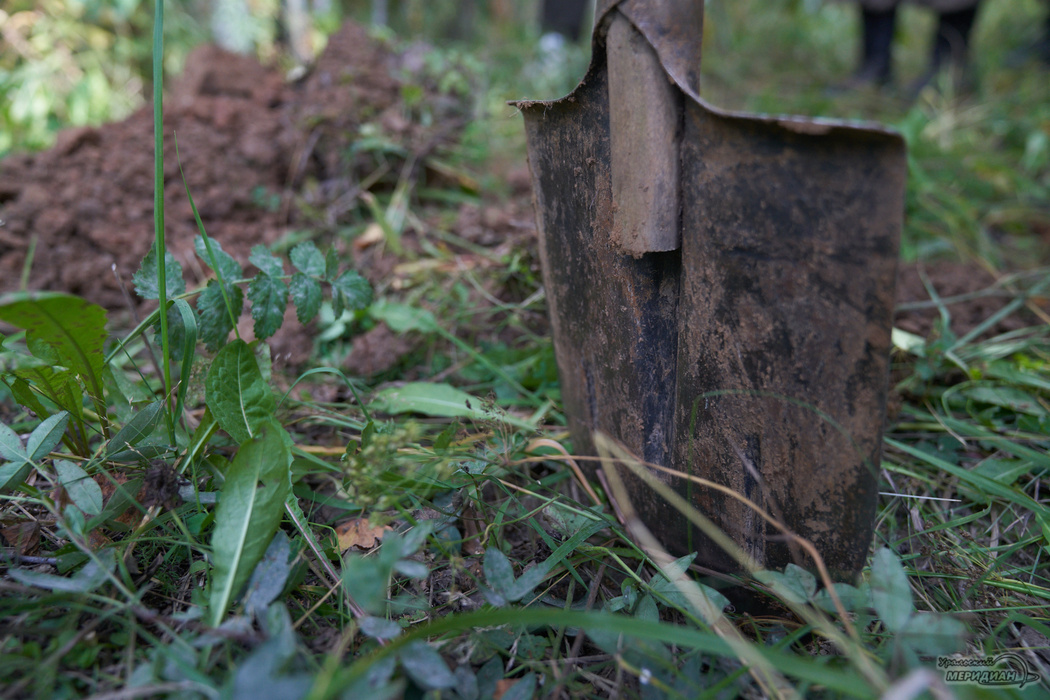    Фото: Лидия Аникина © ИА «Уральский меридиан»