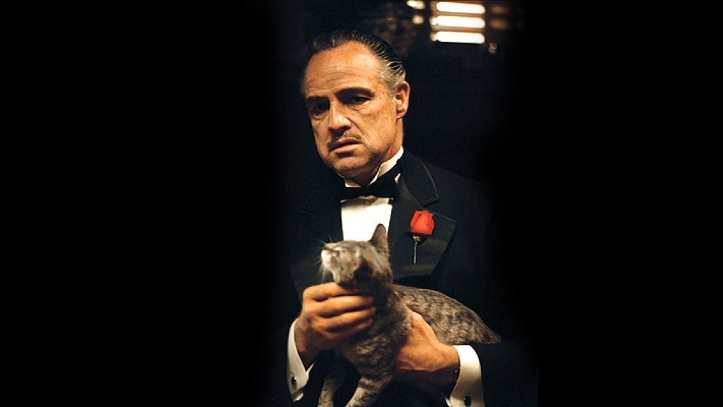 кадр из фильма