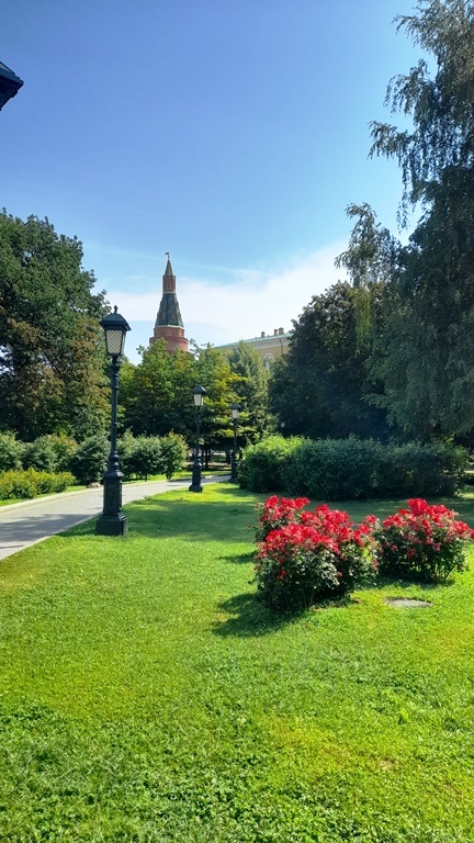 Сад был посвящен Александру I и в честь победы  в  Отечественной войне 1812 год. Создателем проекта был, вернувшийся из  народного ополчения, архитектор Осип Бове. Но история сада на самом деле началась еще в XV  веке – царь Иван  III начал закладывать в этом месте парк.