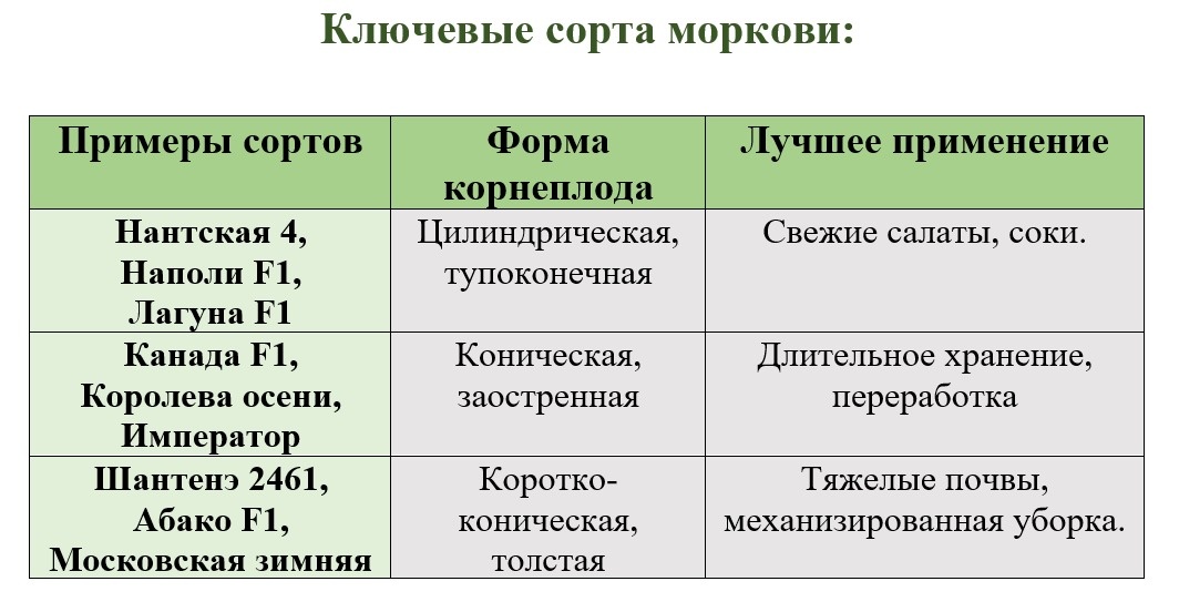 Перед выбором сорта определитесь с целью выращивания. 
