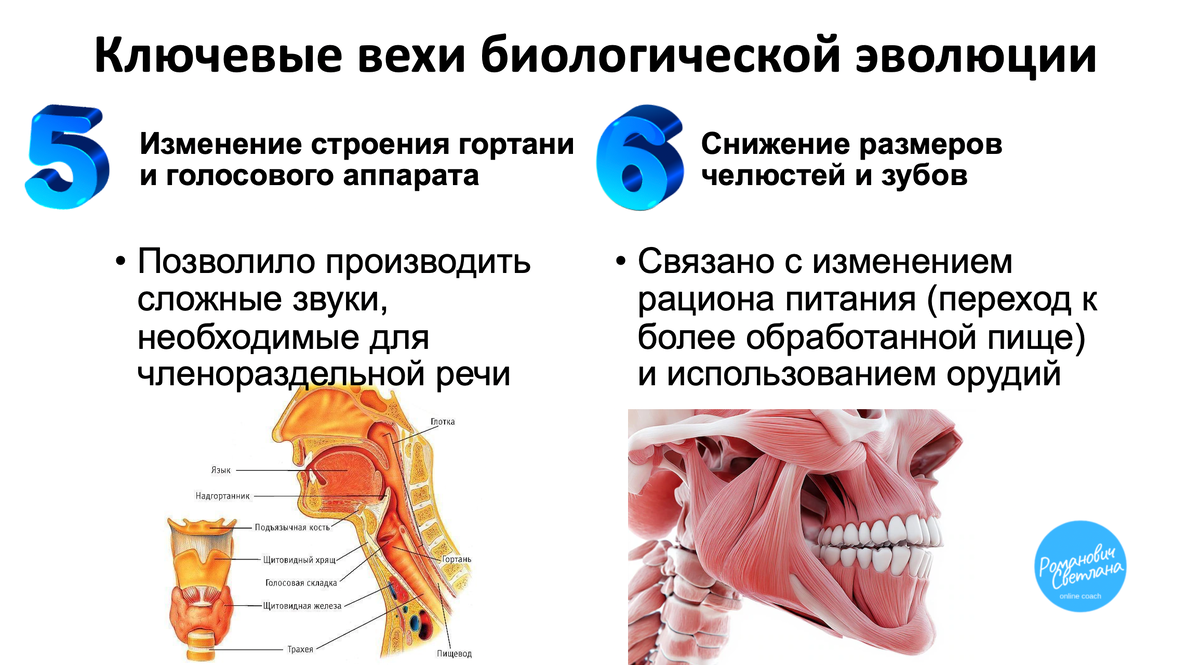 Рисунок 3. Материал из методических разработок автора