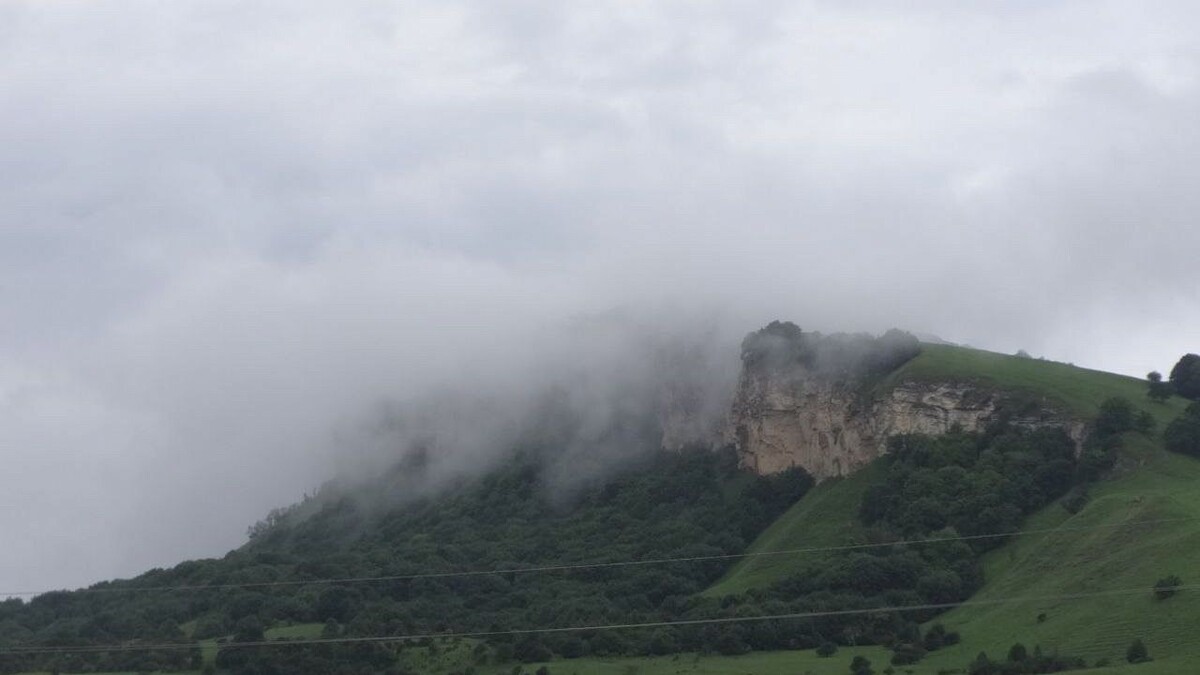    Фото: телеканал «Краснодар»