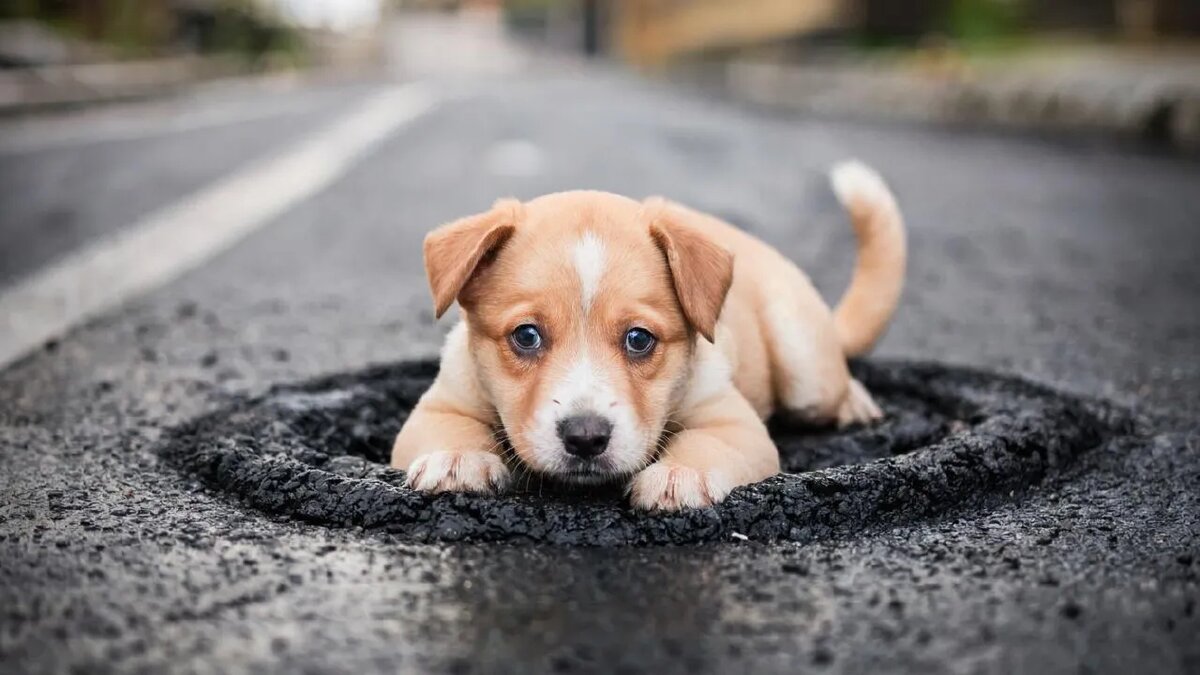    Сгенерировано ИИ