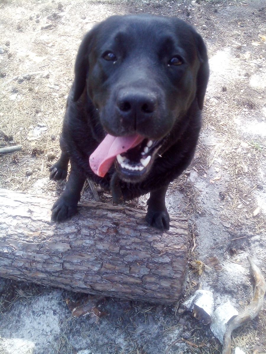 Фото автора .