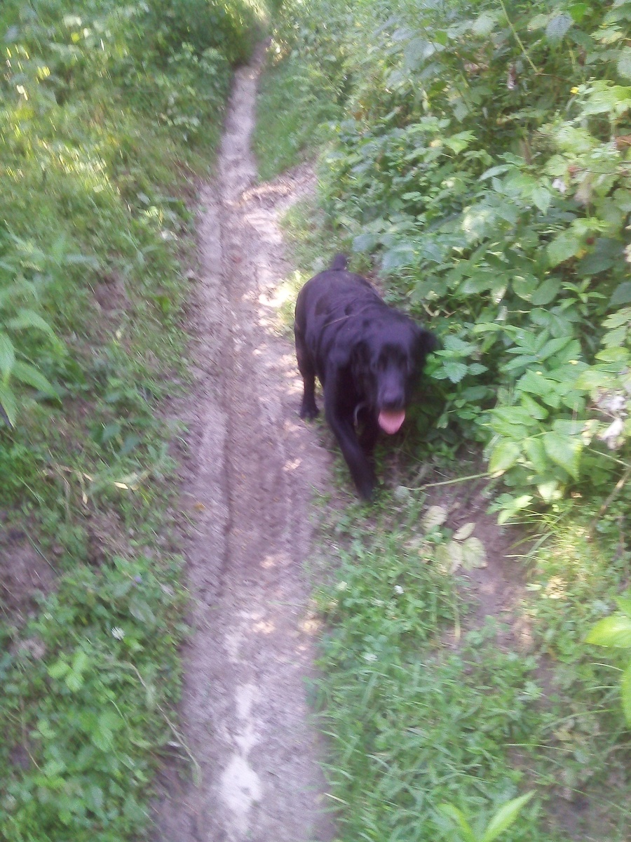 Фото автора.