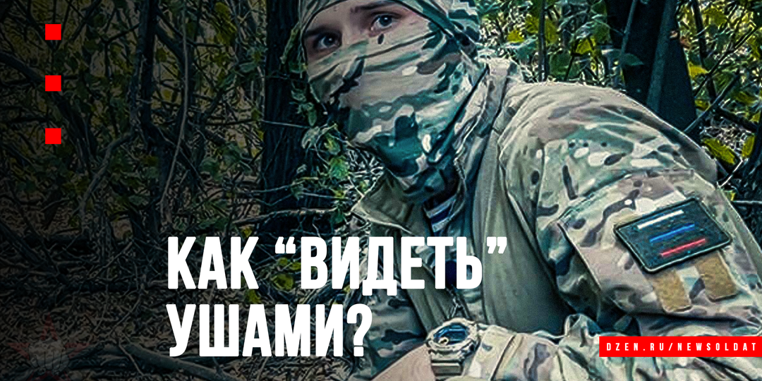 Тишина - твой смертельный враг: как разведчики «видят» ушами?